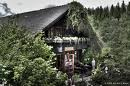 Forellenteich Braunlage/Kein Link m&ouml;glich